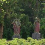 Visite guidée botanique : 150 ans de plantation dans le Parc