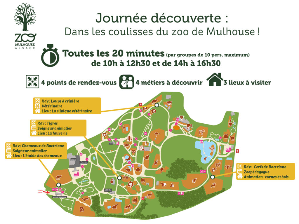 Plan de la journée découverte au Parc zoologique et botanique de Mulhouse